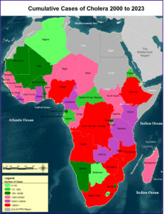 Deaths of Cholera 2000 to 2023