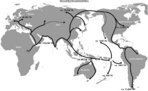 Human Migrations